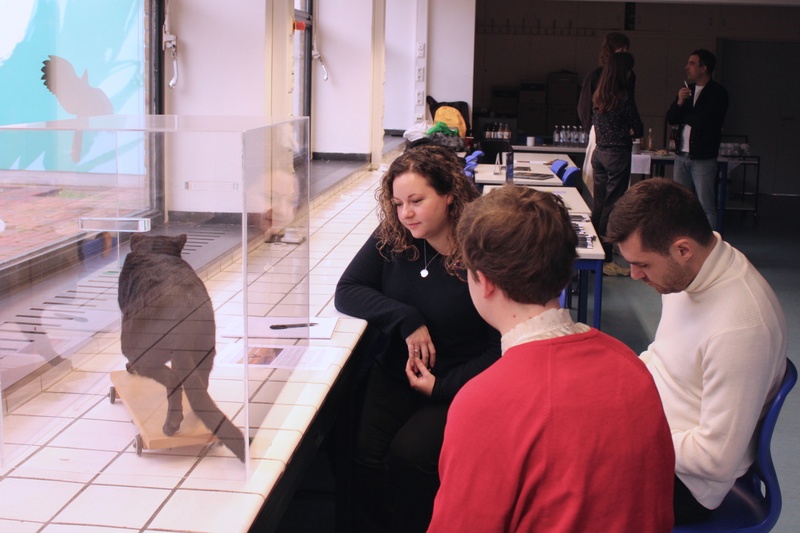 Workshop activity proposed by Charlotte Wrigley and Alexis Rider