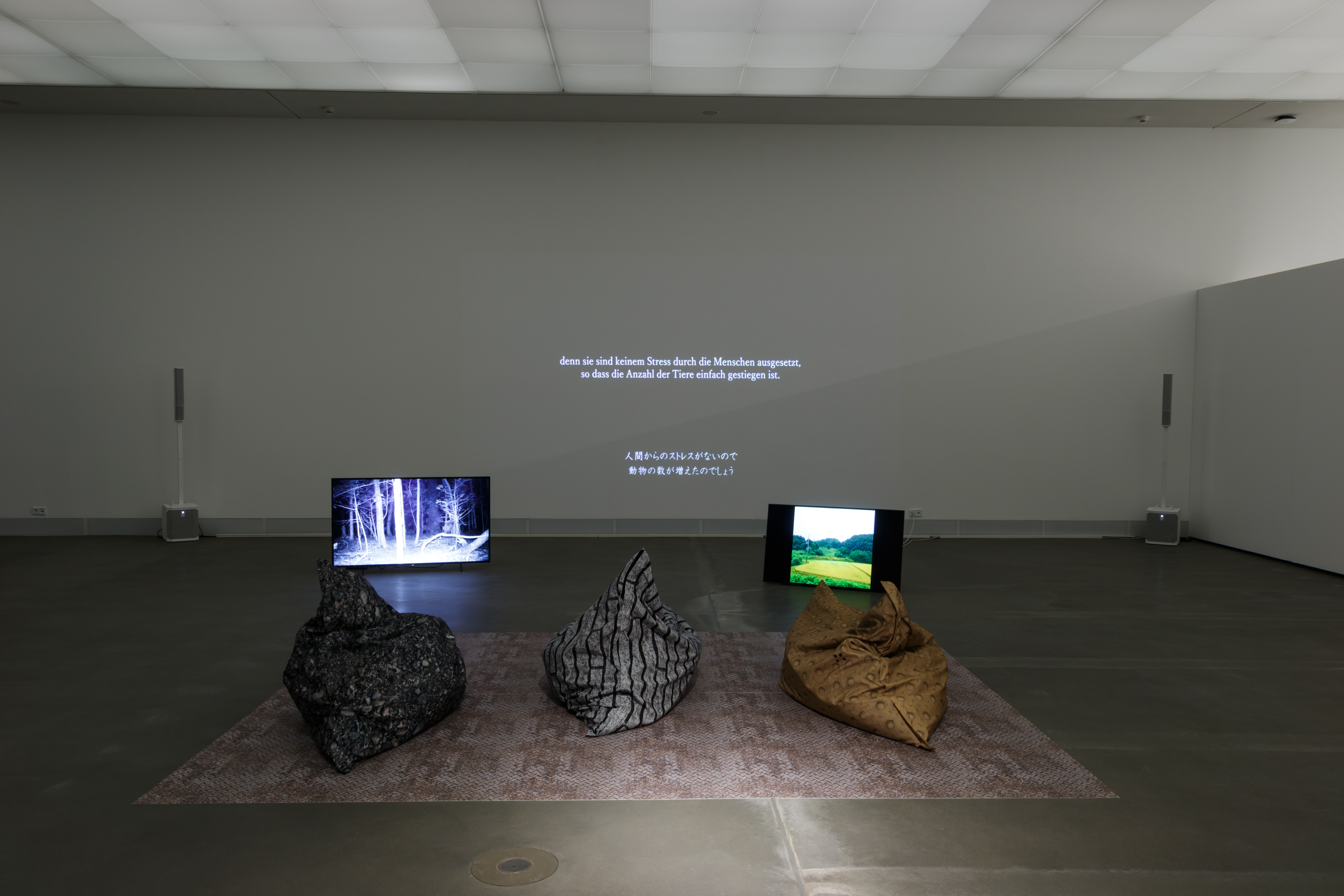 Three channel audio-visual experience of the Fukushima exclusion zone © Endres