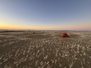 Desert Field 3