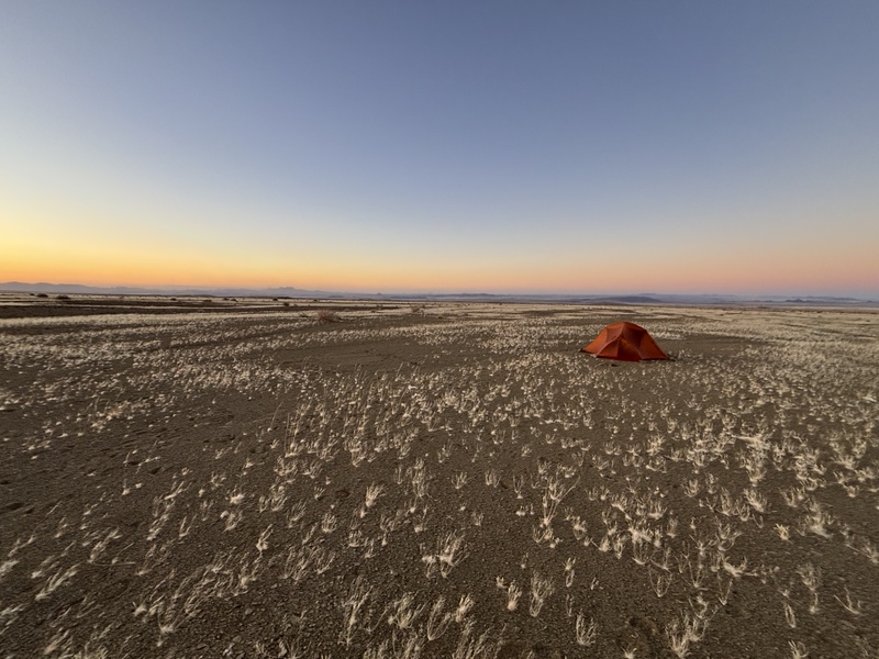 Desert Field 3