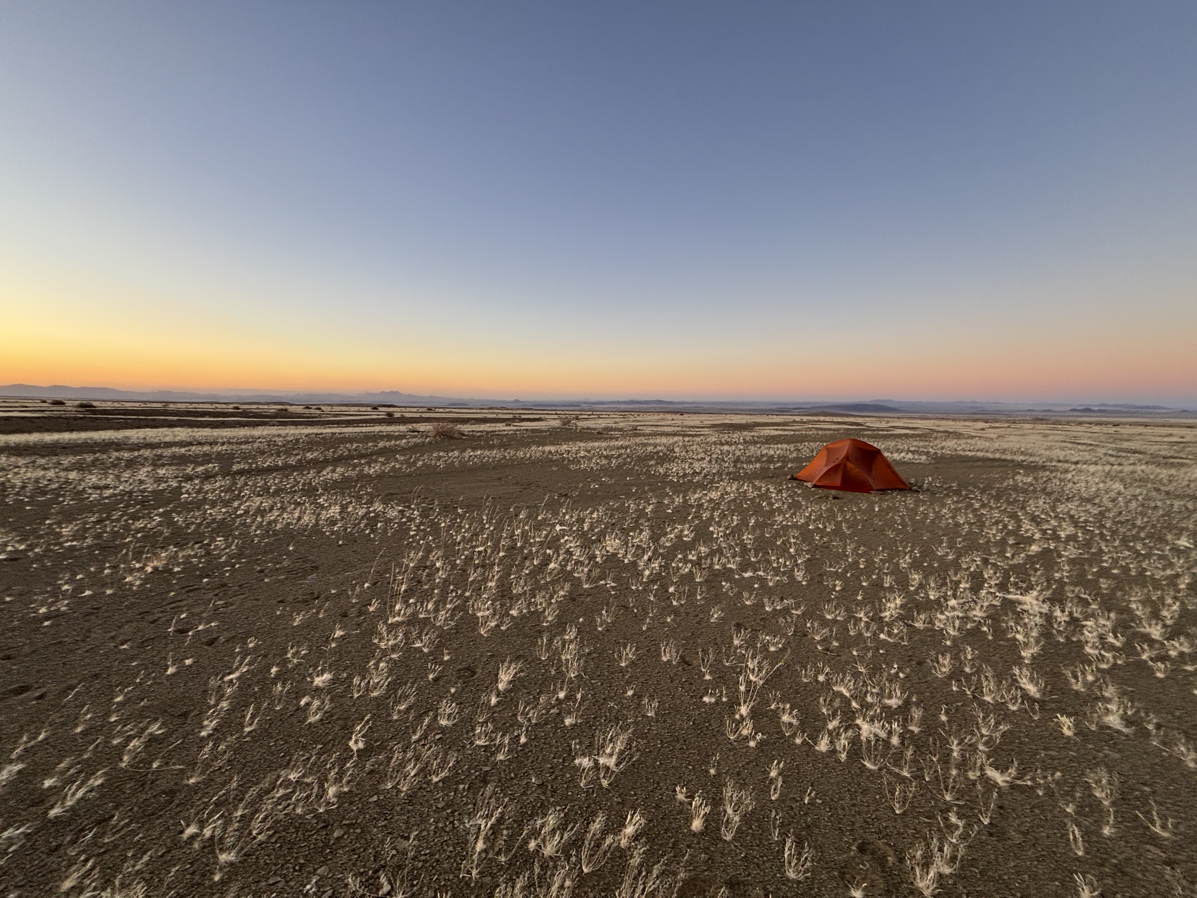 Desert Field 3