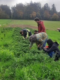 Community Work
