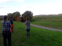Besichtigung Agroforstsystem Gladbacherhof