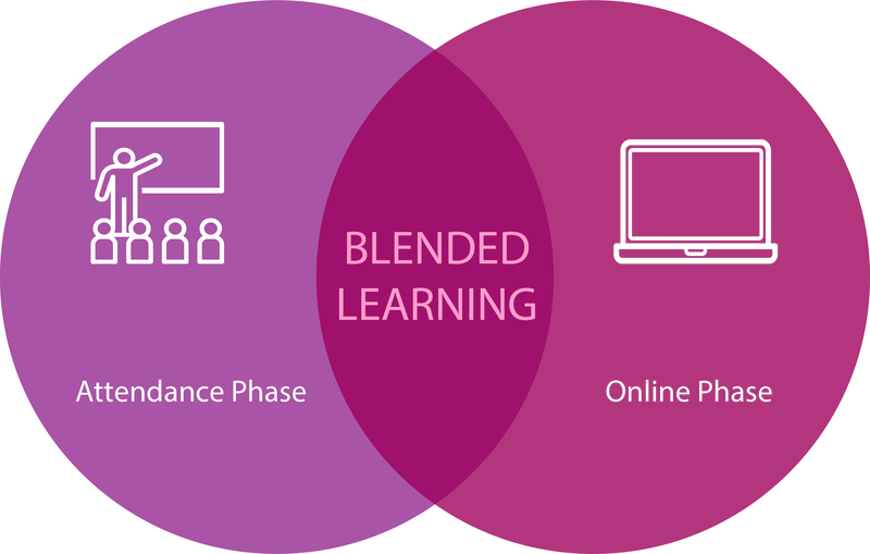 Kreis_Blended Learning_englisch.png