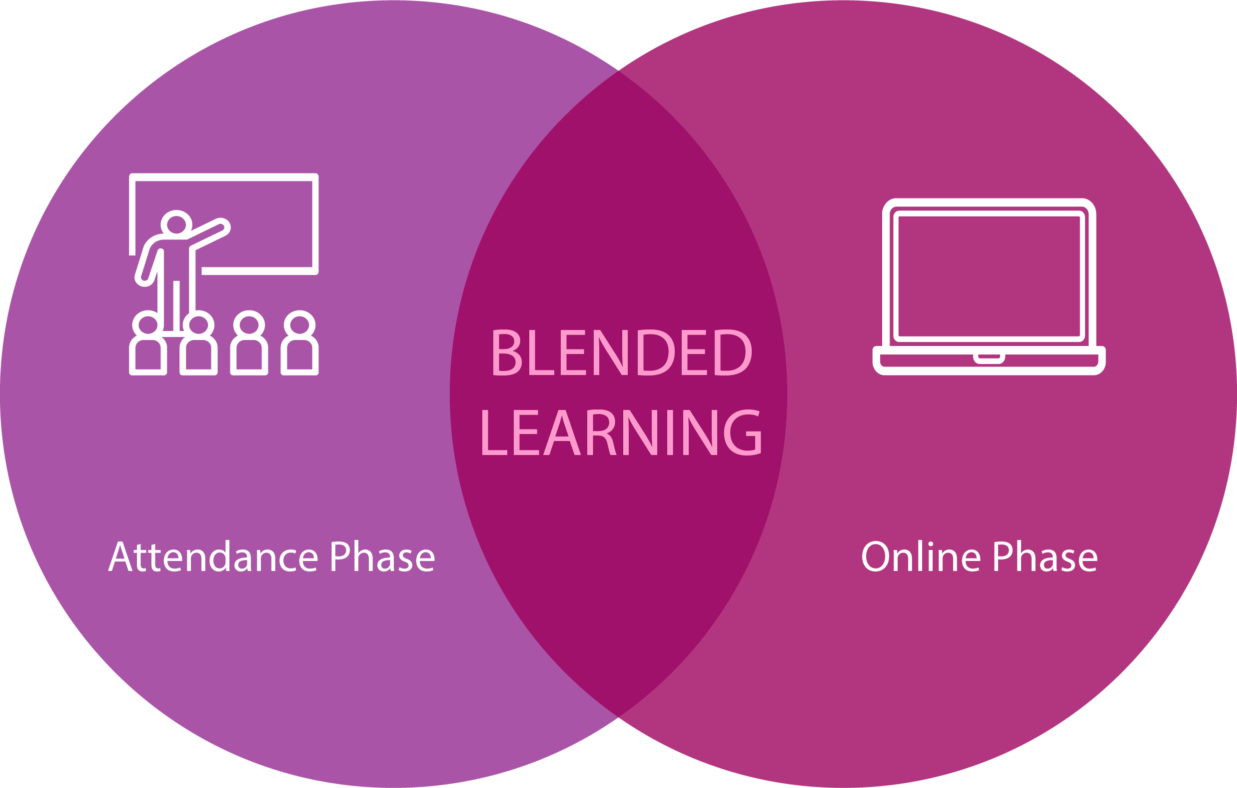 Kreis Blended Learning englisch