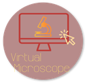Button_virtual_microscope.png