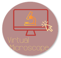 Button_virtual_microscope.png