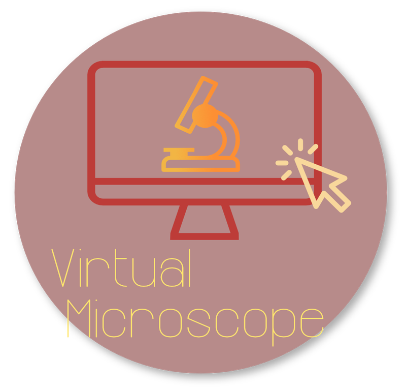 Button_virtual_microscope.png