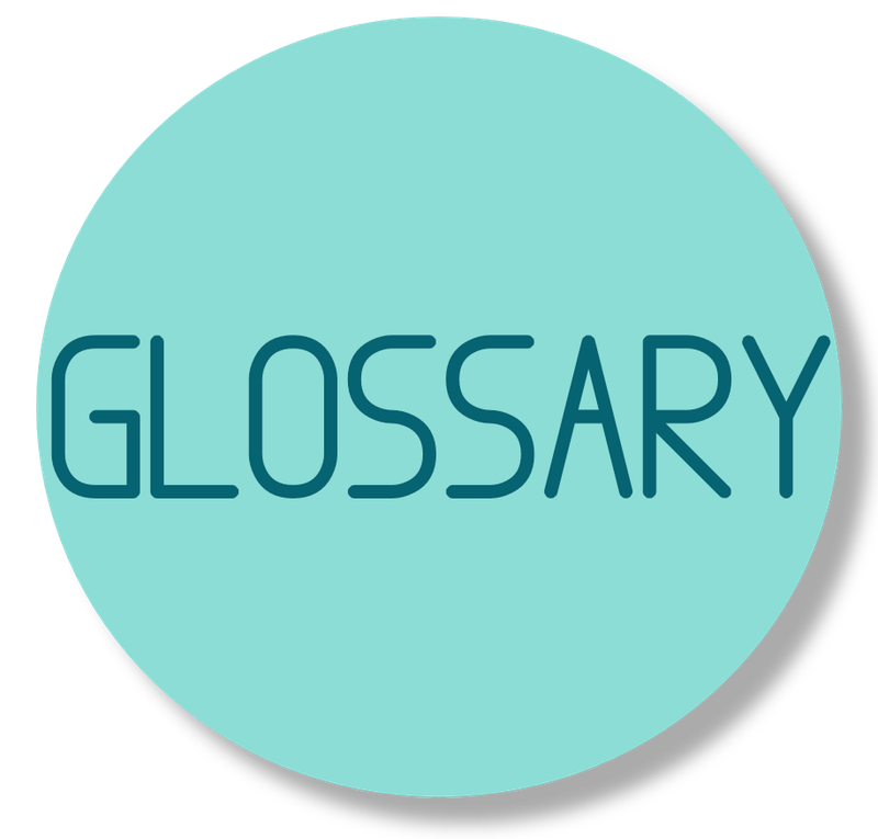 Glossary