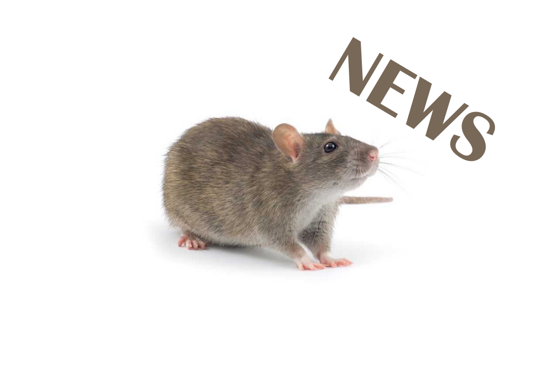 3R-News.png