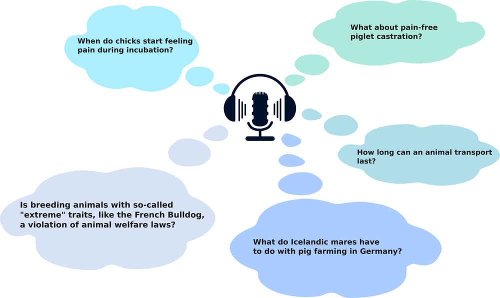 podcast_grafik_eng.png
