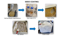 Seed coating 2.png