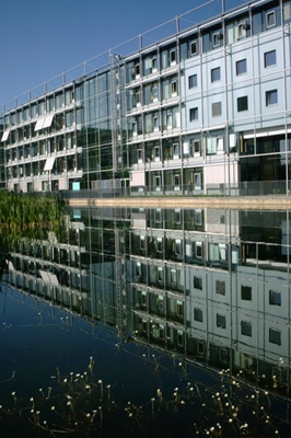 ifzteich-400.jpg