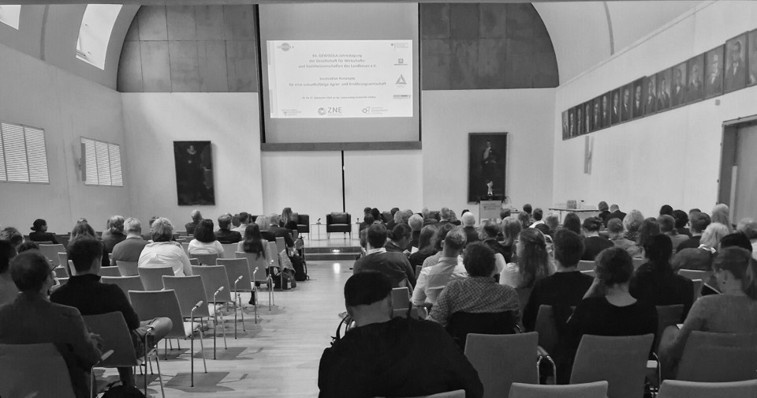 Conference situation2