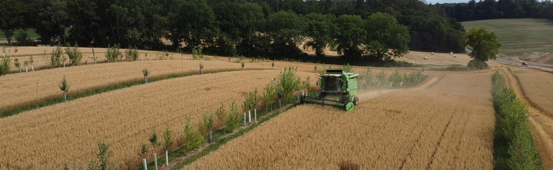 Agroforst Gladbacher Hof