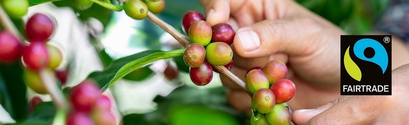 coffee harvest and fairtrade mark