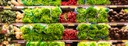 Bunch of vegetables in a supermarket