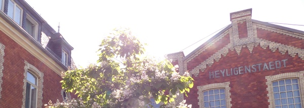 190726_2019-06-28_10-28-48_bearb_JLU-Rapp_700x250px_v02.jpg