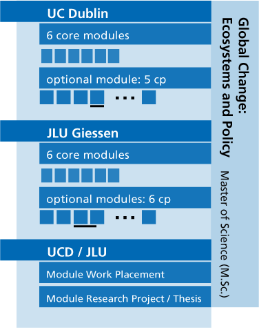 Visuelle Darstellung des Studienablaufs. Alle Informationen finden Sie im Text.