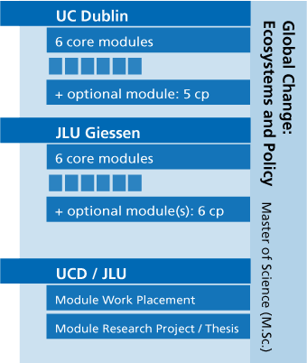 VisualVisual presentation of the courses of study. All information can be found in the text.