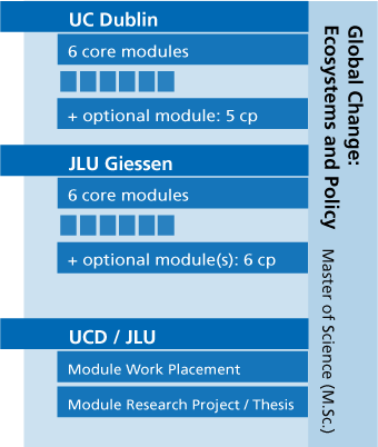VisualVisual presentation of the courses of study. All information can be found in the text.