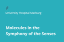 Philipps University Marburg, Hesse