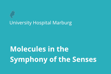 Philipps University Marburg, Hesse
