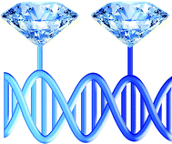 Diamondoid-DNA