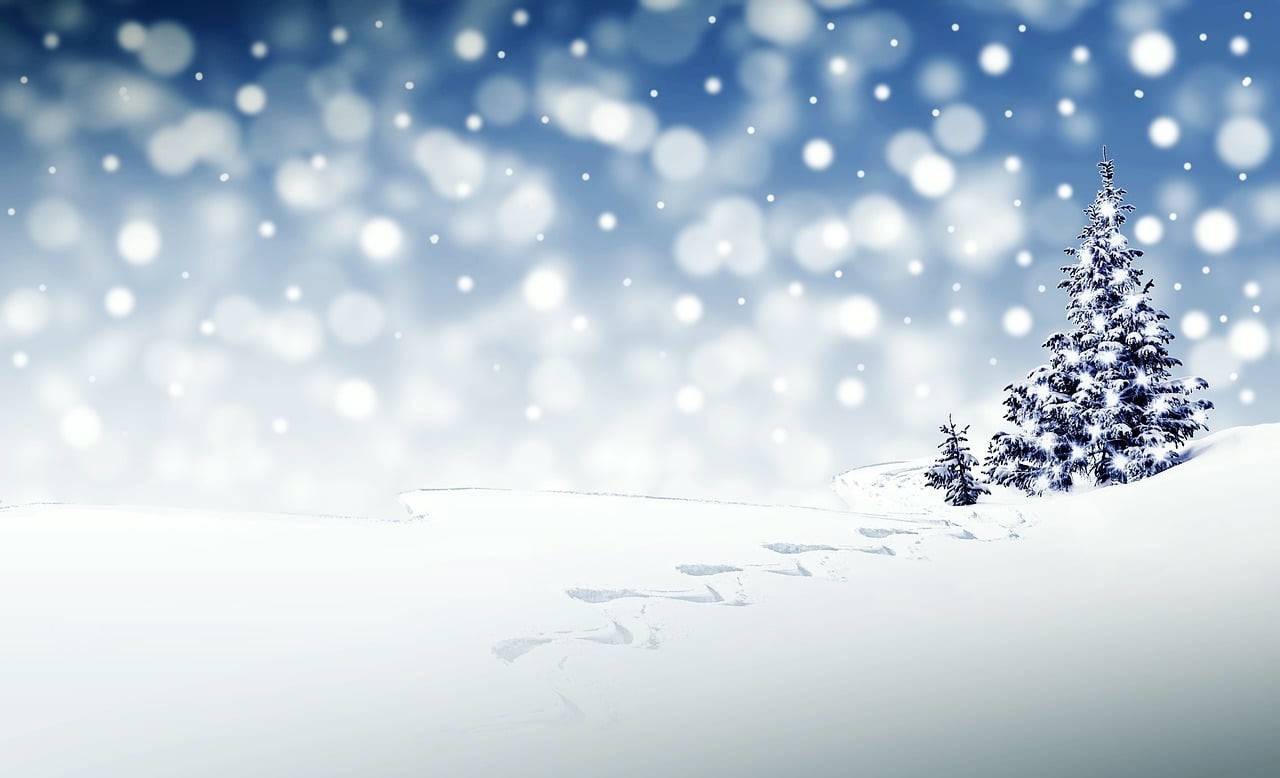 christmas-3864552_1280.jpg